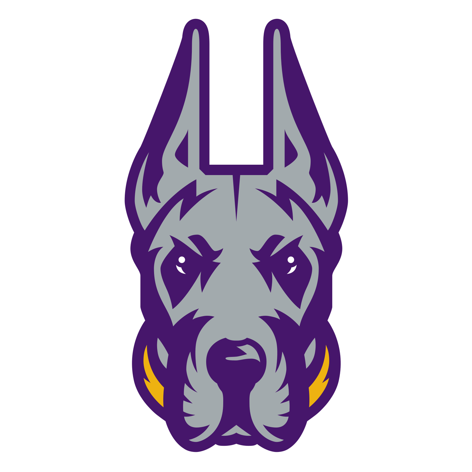 Albany athletics logo