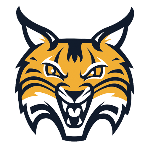 Quinnipiac athletics logo