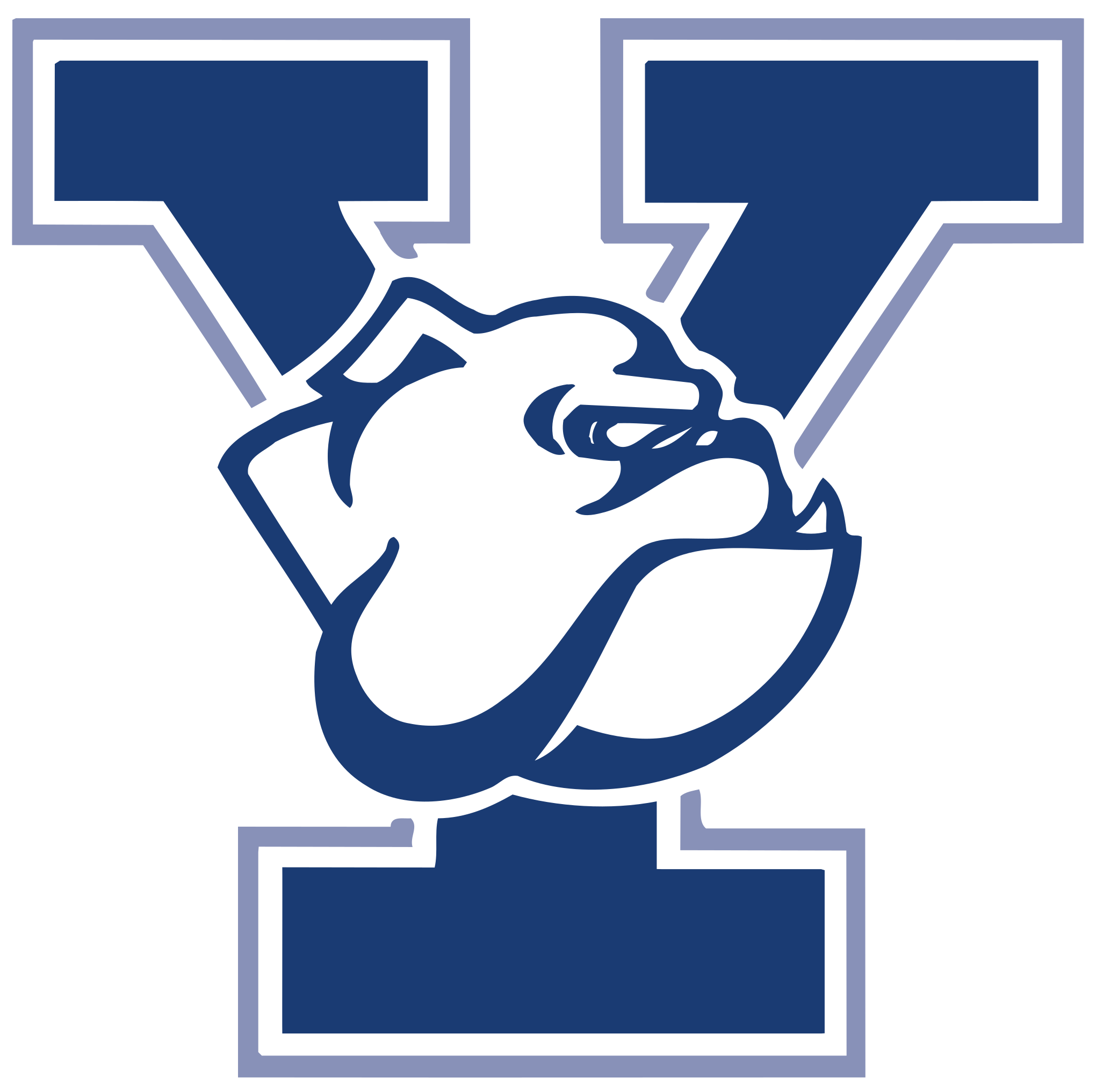 Yale athletics logo